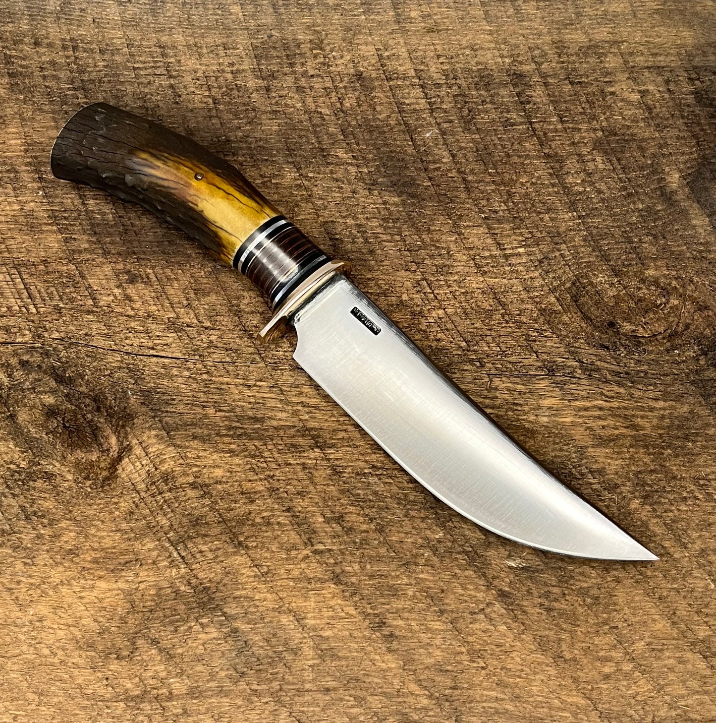 Mule deer camp/trail