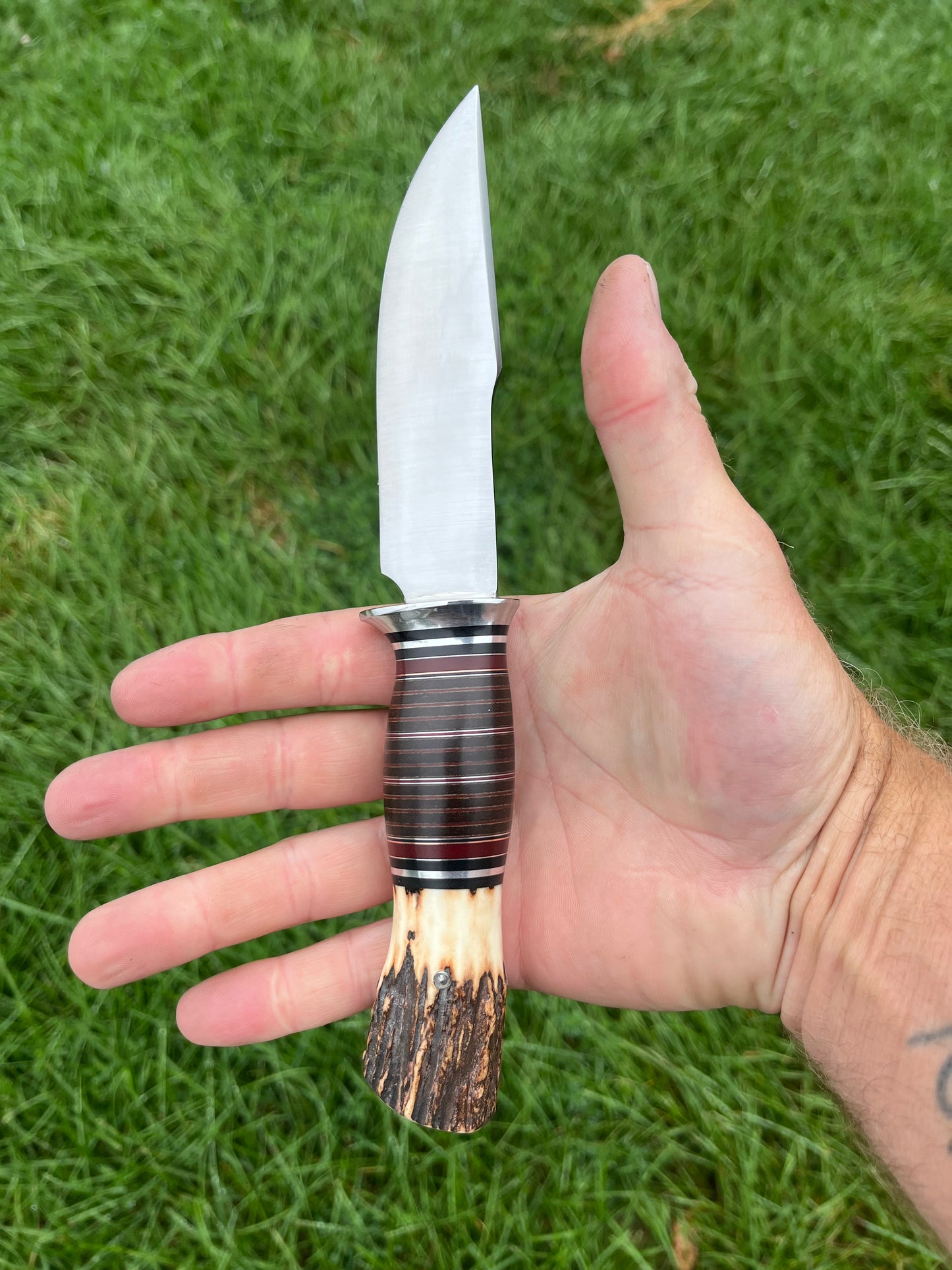 Scagel style 4 7/8” stag pommel hunter